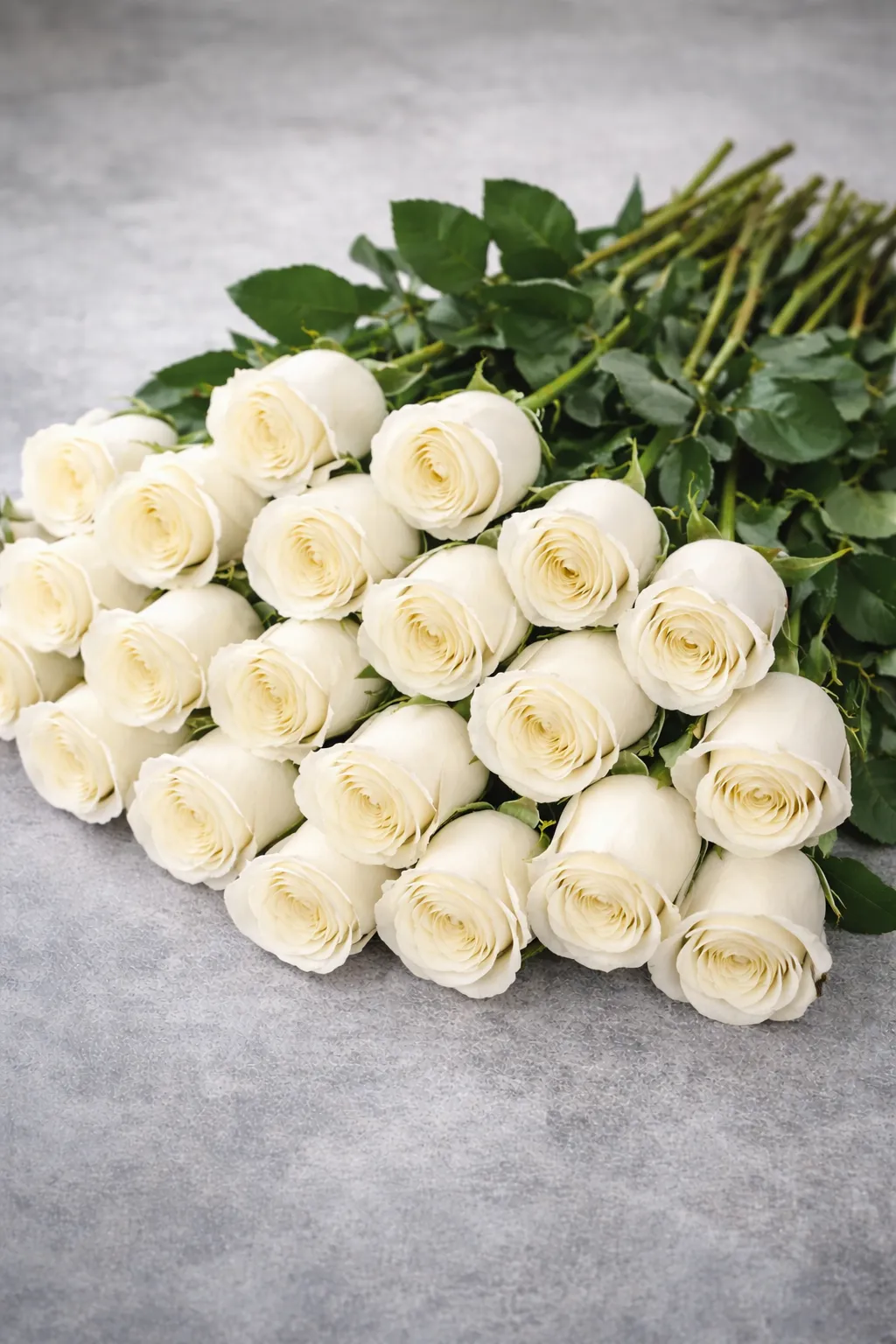 Valentine White Roses (10 piece)