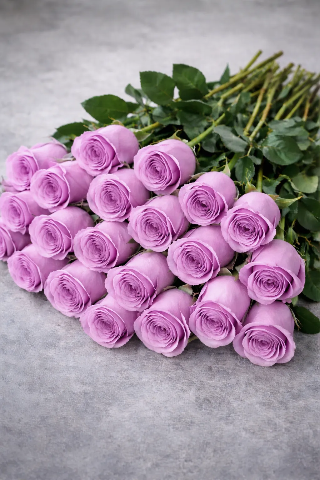 Valentine Purple Roses (10 piece)