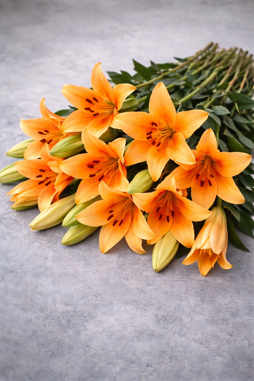 Orange Pink Lily (5 piece)